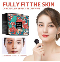 Mushroom Head Air Cushion cc Cream Concealer