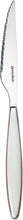 Guzzini 2300 Cutlery, ABS,SAN, 304 (18/10), Stainless Steel AISI 420 (Knife), White, 22.5 cm