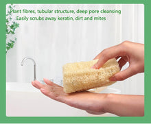 Natural Shower Loofah Sponge, Organic Loofah, Loofah Body Brush Natural Mesh Sponge Exfoliating Body Scruber for Removing Body Stains and Skin Deep Oil, Unclog Pores 3 pcs