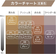 Heavy Rotation Coloring Eyebrow R 12 - Gayish Beige