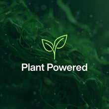 INEOS Next-Gen Cleaning Antibac Spray, 4.5L (750ml x 6), Multi-Room, Plant Powered, Limescale + Grease Remover, Kills 99.9% of Bacteria + Viruses, Rhubarb + Pomegranate, Packaging May Vary