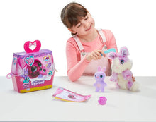 Little Live Scruff-A-Luvs Pets  Scruff-a-Luvs Mystery Animal Mom & Baby  Reveal, Wash, Groom, Rescue Plush Pet - Styles May Vary, Multicolor, 30111