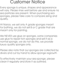 Naroa Unbleached Grass Sea Sponge Natural Exfoliating  Body Puff for Adults Shower and Bath Mediterranean Scrub with Rope