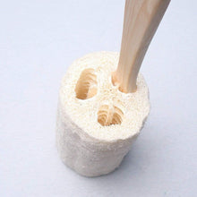 Natural Exfoliating Loofah luffa loofa Bath Brush On a Stick, 9.4'' Wooden Handle Loofah Tubular Sponge Back Brush for Men & Women, Bath Shower Sponge Body Back Scrubber Pack of 1