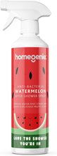 HomeGenie Anti-Bacterial After Shower Daily Cleaner  Spray and Leave  Fresh Watermelon Fragrance  500ml, Clear