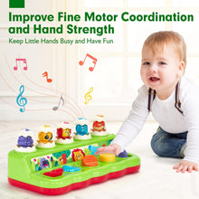 hahaland Pop up Toys for 1 Year Olds Girls Boys with Hammers, Montessori Toddlers Toys Baby Toys 12 Months Early Development & Activity Toys Birthday Gifts for Kids Toys 1 2 3 4 Year Old Boys Girls