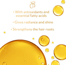 Argan Deluxe Shampoo for women and men - Argan oil haircare for dry, broken and straight hair in salon quality - Argan oil hair cleaner from Morocco - 1000 ml