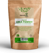 Natures Root Organic Amla Powder - For Hair  Fight Hairloss  Hair Growth  Minimise Grays (250g)