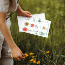 Kids Gardening Set, Grow Your own kit for Children, Wildflower Seeds, Garden Set for Kids, Seed Kits for Kids, Kids Survival kit, Childrens Gardening Set, Kids Activity Pack (Grow Your Own Deluxe)