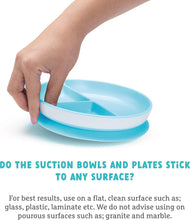 Munchkin Stay Put Baby Suction Bowl Set Baby Bowls for Weaning Baby Feeding Suction Dish Pack for Babies & Toddlers 6 Months+BPA Free Weaning Set for Babies Microwave/Dishwasher Safe  3 Pack