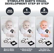 Joyreal Baby Sensory Toys, 13 Pcs Black and White Sensory Toys 0-6 Months, Foil Blanket, Sensory Cards, Baby Rattles, Ribbon Ring, Scarf, Maracas, Newborn Toys Baby Sensory Box Gifts