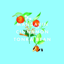 NEOM- Christmas Wish Essential Oil Blend, 10ml  Cinnamon, Mandarin & Tonka Bean  Gift