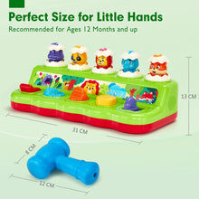hahaland Pop up Toys for 1 Year Olds Girls Boys with Hammers, Montessori Toddlers Toys Baby Toys 12 Months Early Development & Activity Toys Birthday Gifts for Kids Toys 1 2 3 4 Year Old Boys Girls
