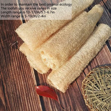 Natural Shower Loofah Sponge, Organic Loofah, Loofah Body Brush Natural Mesh Sponge Exfoliating Body Scruber for Removing Body Stains and Skin Deep Oil, Unclog Pores 3 pcs