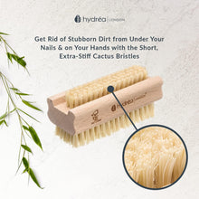 Hydrea London Nail Brush - Double-Sided Pedicure & Manicure Brush with Natural Cactus Bristles - 100% Vegan Hand Scrub, Fingernail Cleaner, & Tough Toenail Cleaning Scrubber - FSC Certified Beechwood