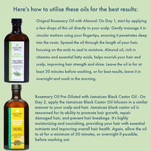 Nature Spell Rosemary Oil for Hair Growth Duo 150ml x2  Treats Dry and Damaged Hair  Rosemary Oil Fusion Duo Pre-Diluted with Almond Oil and Castor Oil  Body Oils for Dry Skin