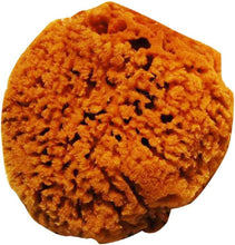 Naturcosmetika Honey Comb Extra Soft Naturcosmetics Sponge 300 g