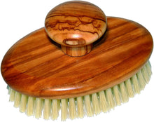 Gerson 161BRUSH MADE OF OLIVE WOOD