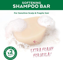 Garnier Ultimate Blends Delicate Oat Softening Shampoo Bar for Sensitive Scalp and Fragile Hair, Clear, 60 g (Pack of 1)