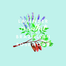 NEOM- Real Luxury Reed Diffuser Refill,100ml  Lavender, Jasmine & Rosewood  Scent to De Stress