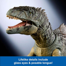Mattel Jurassic World Dominion Hammond Collection Giganotosaurus Dinosaur Figure, 21 Articulations, Glass Eyes, Wired Tail & Posable Tongue, HXF57