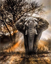 LJHOME 5D Diamond Paint Kits Full Drill, Elephant Crystal Rhinestone Diamond Embroidery Art Pictures, DIY Arts Craft Supply for Adults, Kids, Home, Wall Decor