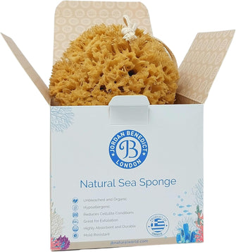 Jordan Benedict Natural Sea Sponge for Bath and Shower