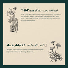 Napiers Vegan Wild Yam and Marigold Cream - Natural Relief for Menopause and Perimenopause Symptoms and Dry Skin - 60 ML (Scentless)