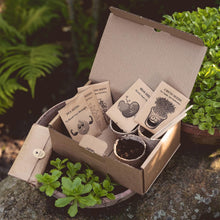 Kids Gardening Set, Grow Your own kit for Children, Wildflower Seeds, Garden Set for Kids, Seed Kits for Kids, Kids Survival kit, Childrens Gardening Set, Kids Activity Pack (Grow Your Own Deluxe)