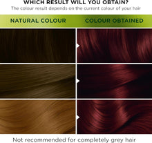 Garnier Nutrisse 2.6 Dark Cherry Red Permanent Hair Dye 1 Kit