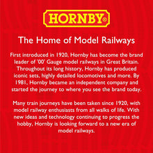 Hornby R8087 Track Rubber - Spare Parts and Train Accessories for Hornby OO Gauge Model Railway Sets, Cleaning Tools - Track Cleaning Rubber