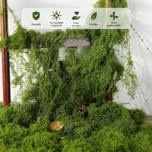 M Pelosa Artificial Moss  50g - Natural Dark Green Faux Moss - for Arts and Crafts, Christmas and Easter Decorations, Landscaping, Floristry and More  Non-Toxic