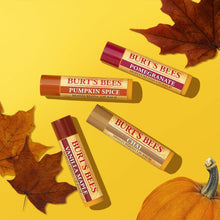 Burts Bees Lip Balm Gift Set, Chai Tea, Pumpkin Spice, Vanilla Maple, Pomegranate, Lip Balm Multipack, 4x4.25g, Packaging May Vary