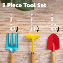 Little Roots  3 Piece Tool Set, Childrens Gardening Tools, Hand Trowel, Fork and Rake, Outdoor Gardening Tools for Ages 3+