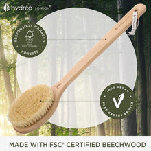 Hydrea London Dry Body Brush  Long Handled Exfoliating Dry Skin Brush with Vegan Cactus Bristle, Dry Brush Cellulite Remover, Exfoliating Body Scrubber, Helps Improve Lymphatic Drainage - FSC Certified Beechwood.