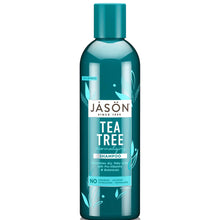 JASON Normalizing Tea Tree Treatment Shampoo 517ml