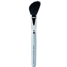 Daniel Sandler Contour/Powder Brush