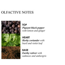 Molton Brown Black Peppercorn Single Wick Candle