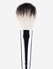 Brush A23 highlighter brush