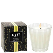 NEST New York Grapefruit Classic Candle 230g