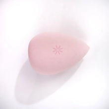 brushworks Complexion Sponge