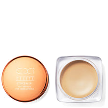 EX1 Cosmetics Delete Concealer 6.5g (Various Shades)