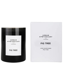 Urban Apothecary Fig Tree Luxury Candle 300g