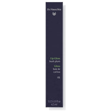 Dr. Hauschka Lip Gloss 00 Radiance