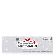 Love Boo Countdown Kit