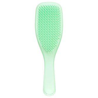 Tangle Teezer The Wet Detangler Hairbrush Mint Karma