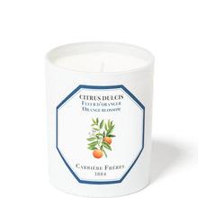 Carrire Frres Scented Candle Orange Blossom - Citrus Dulcis - 185 g