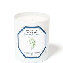 Carrière Frères Scented Candle Tuberose - Polientes Tuberosa - 185 g