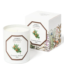 Carrière Frères Scented Candle Cedar - Cedrus Atlantica - 185 g