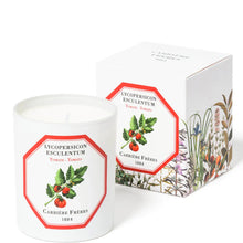 Carrière Frères Scented Candle Tomato - Lycopersicon Esculentum - 185 g